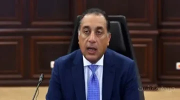 توجيه حكومي.. تدشين منصات إلكترونية مشتركة لفرص استثمار واعدة مع دول الكوميسا 1